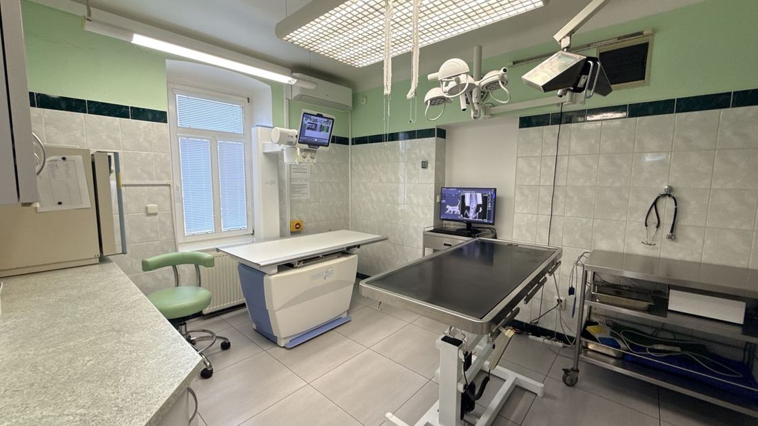 Rentgen (RTG) – Veterinární klinika Na Kopci