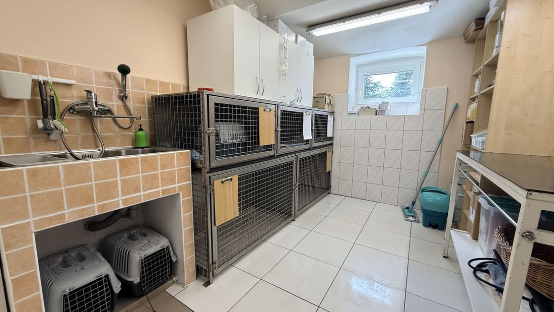 Hospitalizace – Veterinární klinika Na Kopci