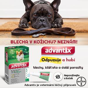 Banner - Advantix