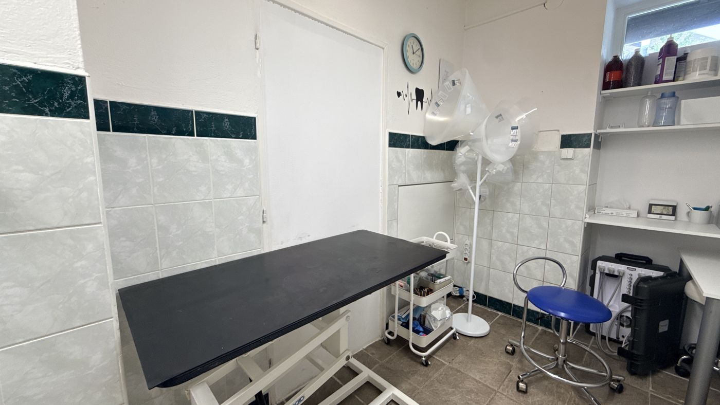 Stomatologie – Veterinární klinika Na Kopci