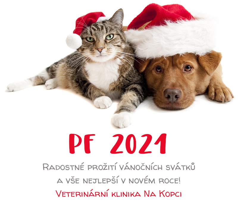 PF 2021